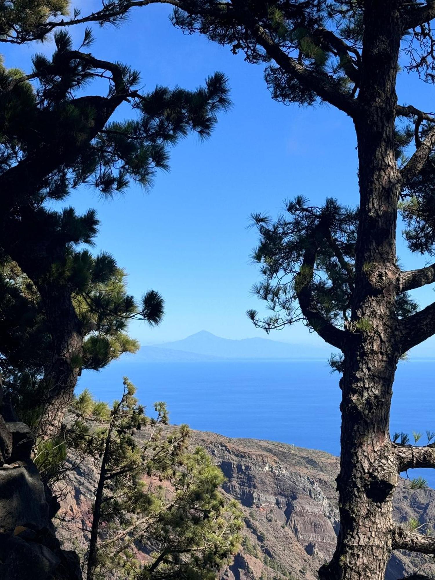 Apartamento El Rincon La Restinga Ruang foto
